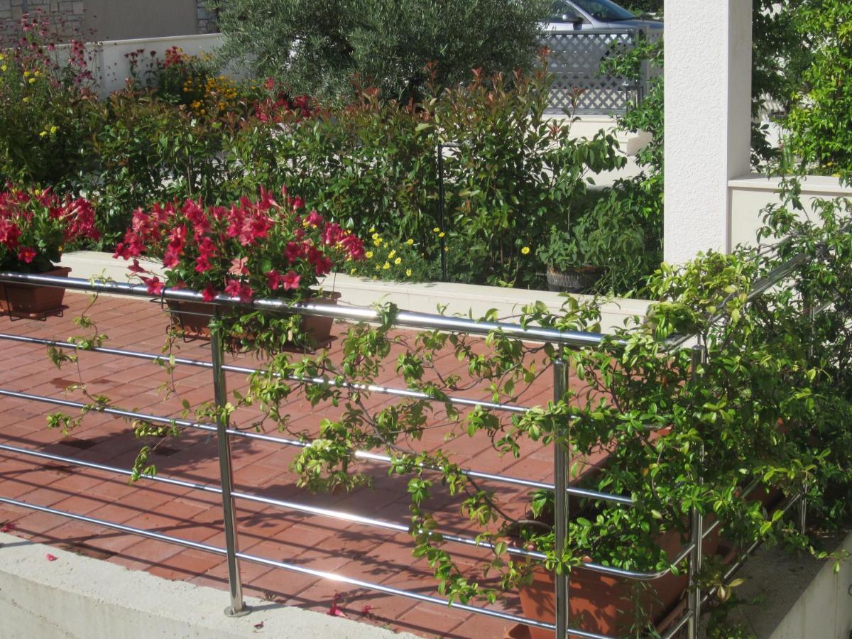 Apartment Silvana Rovinj Exterior foto